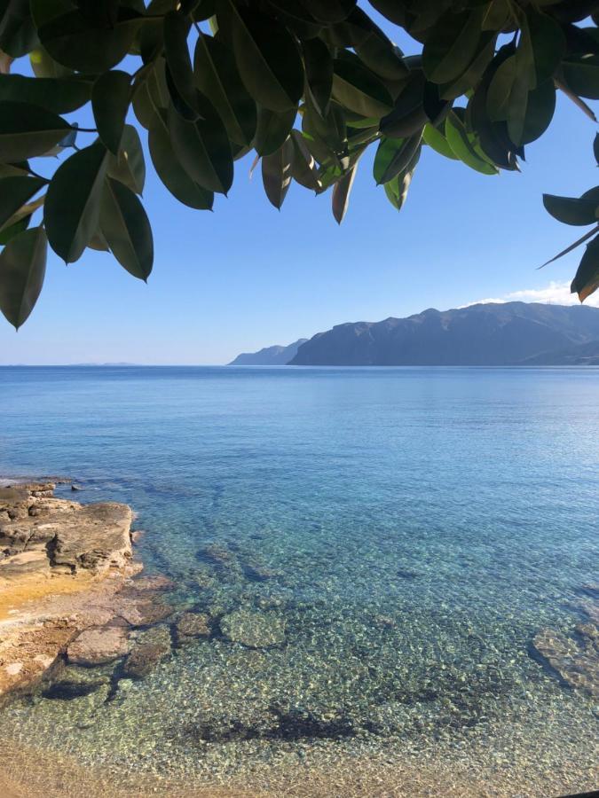 The Island House - Family Size Apt - Overlooking The Aegean - 3 Steps From The Beach Mochlos Dış mekan fotoğraf